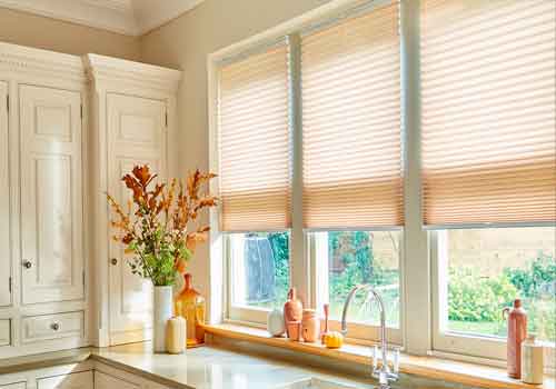 Pleated Blinds